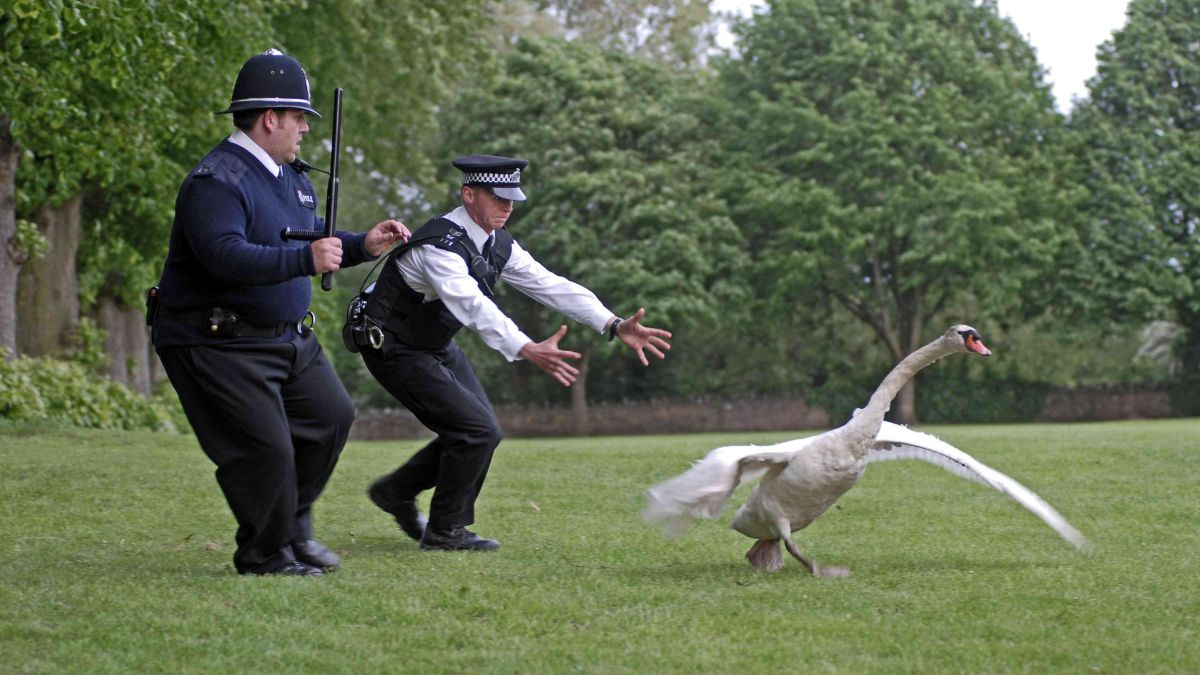 Hot Fuzz